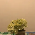 Casa vacanze Nido D'amore Cuore *